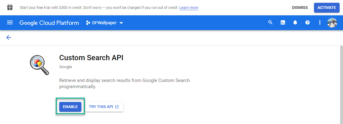 Custom Search API - Enable